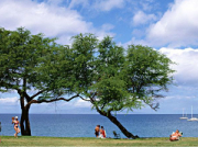 水泵潤滑油有哪些作用？